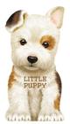 Little Puppy (Mini Look at Me Books) By Laura Rigo (Illustrator) Cover Image