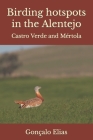 Birding hotspots in the Alentejo: Castro Verde and Mértola By Gonçalo Elias Cover Image