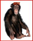 Affe: Faszinierende Affe Fakten für Kinder mit atemberaubenden Bildern! By Elizabeth Palumbo Cover Image