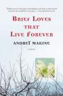 Brief Loves That Live Forever: A Novel Cover Image