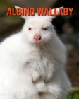 Albino Wallaby: Childrens Book Amazing Facts & Pictures about Albino Wallaby By Thomasa Hasty Cover Image