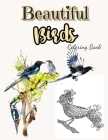 Beautiful Birds Coloring Book: Birds Coloring Book For Adults By Boonma Journals Press Cover Image