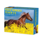 What Horses Teach Us 2025 6.2 X 5.4 Box Calendar By Willow Creek Press Cover Image