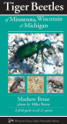Tiger Beetles of Minnesota, Wisconsin & Michigan (Naturalist) Cover Image