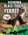 Bringing Back the Black-Footed Ferret By Rachel Stuckey Cover Image