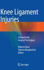 Knee Ligament Injuries: Extraarticular Surgical Techniques Cover Image