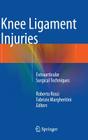 Knee Ligament Injuries: Extraarticular Surgical Techniques By Roberto Rossi (Editor), Fabrizio Margheritini (Editor) Cover Image