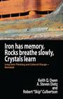 Iron Has Memory, Rocks Breathe Slowly, Crystals Learn: Long Term Thinking and Cultural Change-Revisited Cover Image