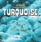 Turquoise (Gems: Nature's Jewels) By Eric Ethan Cover Image