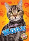 Manx (Cool Cats) Cover Image