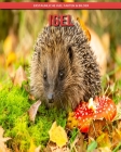 Igel: Erstaunliche Igel Fakten & Bilder By Maria Polansky Cover Image