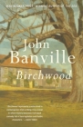 Birchwood (Vintage International) By John Banville Cover Image