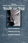 Youth on Trial: A Developmental Perspective on Juvenile Justice (The John D. and Catherine T. MacArthur Foundation Series on Mental Health and Development, Research Network on Adolescent Development and Juvenile Justice) Cover Image