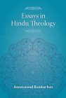 Essays in Hindu Theology Cover Image