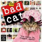 Bad Cat Wall Calendar 2020 Cover Image