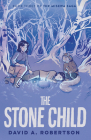The Stone Child By David A. Robertson Cover Image