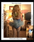 Tutu Fairy Candy The Absolute Joy of Sissyhood Cover Image