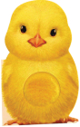 Furry Chick Cover Image