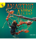 Amazing Ants By Tammy Brown Cover Image