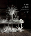 Beth Lipman: Collective Elegy By Beth Lipman (Artist), Samantha De Tillio (Text by (Art/Photo Books)) Cover Image