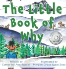 The Little Book of Why Cover Image