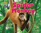 Spider Monkey (Treed: Animal Life in the Trees) By Dee Phillips Cover Image