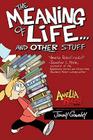 The Meaning of Life . . . and Other Stuff (Amelia Rules!) By Jimmy Gownley, Jimmy Gownley (Illustrator) Cover Image