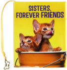 Sisters, Forever Friends Cover Image