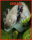 Axolotl: Amazing Pictures & Fun Facts on Animals in Nature Cover Image