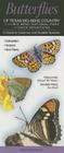 Butterflies of Texas Big Bend Country Incl. Big Bend National Park & Davis Mtns.: A Guide to Common & Notable Species By Roland Wauer, Jim Brock Cover Image