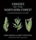 Grasses of the Northern Forest: A Photographic Guide (Northern Forest Atlas Guides) By Jerry Jenkins, Brett Engstrom Cover Image