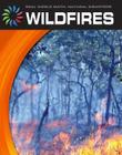 Wildfires (21st Century Skills Library: Real World Math) By Tamra B. Orr Cover Image
