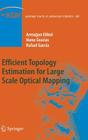 Efficient Topology Estimation for Large Scale Optical Mapping (Springer Tracts in Advanced Robotics #82) Cover Image