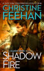 Shadow Fire (A Shadow Riders Novel #7) By Christine Feehan Cover Image