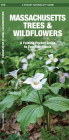 Massachusetts Trees & Wildflowers: A Folding Pocket Guide to Familiar Plants (Pocket Naturalist Guide) Cover Image