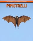 Pipistrelli: Foto fenomenali e fatti divertenti e affascinanti By Katherine Hemmerich Cover Image