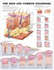 The Skin and Common Disorders Anatomical Chart Cover Image