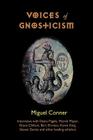 Voices of Gnosticism: Interviews with Elaine Pagels, Marvin Meyer, Bart Ehrman, Bruce Chilton and Other Leading Scholars By Miguel Conner, Andrew Phillip Smith (Foreword by) Cover Image
