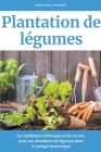 Plantation de légumes: Les meilleures techniques et les secrets pour une abondance de légumes dans le potager domestique By Jean Paul Fermier Cover Image