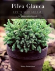 Pilea Glauca: How to grow and care By Serhii Korniichuk Cover Image