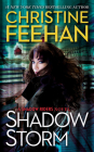 Shadow Storm (A Shadow Riders Novel #6) By Christine Feehan Cover Image