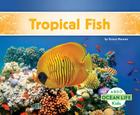 Tropical Fish (Ocean Life) By Grace Hansen Cover Image