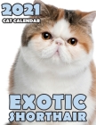 Exotic Shorthair 2021 Cat Calendar Cover Image