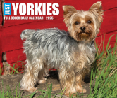Yorkies 2025 6.2 X 5.4 Box Calendar By Willow Creek Press Cover Image