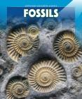Fossils (Spotlight on Earth Science) By Cecily Jobes Cover Image
