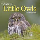 Audubon Little Owls Mini Wall Calendar 2025: A Year of Fluffy and Round Owls By National Audubon Society, Workman Calendars Cover Image