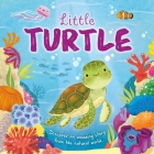 Nature Stories: Little Turtle-Discover an Amazing Story from the Natural World: Padded Board Book Cover Image
