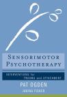 Sensorimotor Psychotherapy: Interventions for Trauma and Attachment (Norton Series on Interpersonal Neurobiology) Cover Image
