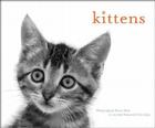 Kittens Notecards By Sharon Beals Cover Image