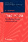 Tribo-Fatigue: Wear-Fatigue Damage and Its Prediction (Foundations of Engineering Mechanics) By Leonid A. Sosnovskiy, K. V. Frolov (Preface by), R. S. Sosnovskaya (Translator) Cover Image